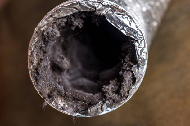 Best Air Duct Cleaning Near Me  in Helena, AL